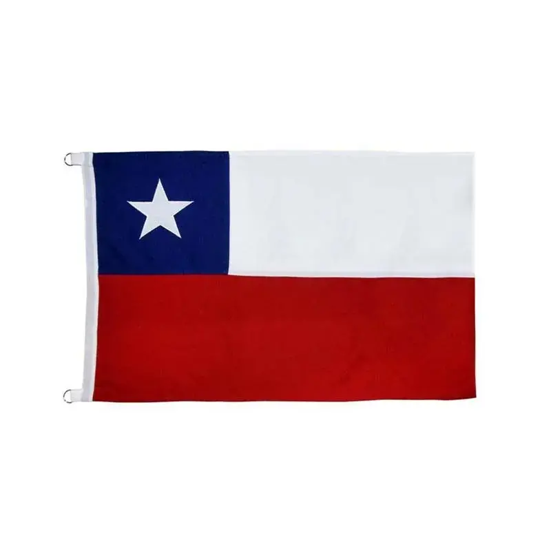 Bandera Chilena 90x135cm