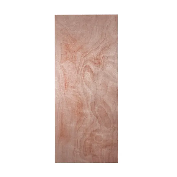 Puerta Terciada 70cm x 2m
